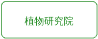幼幼合作品牌植物研究院